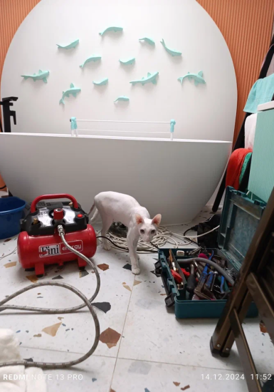 Наши работы — обследование труб и стояков